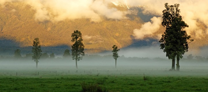 Misty_Field__New_Zealand_by_kmaisch